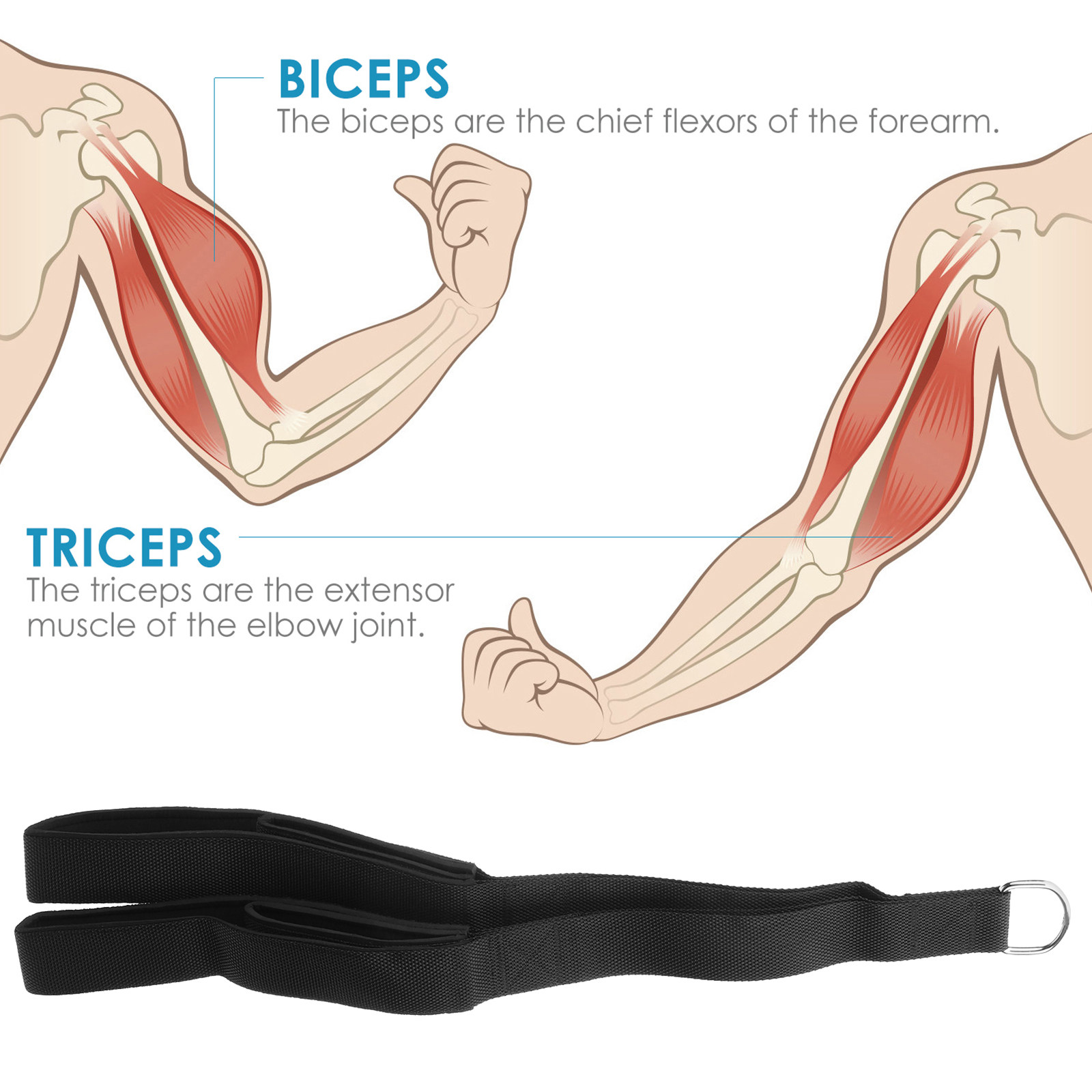 حبل سحب للعضلة ثلاثية الرؤوس ب - مراجعة Home Gym Hammer Strength وسعره